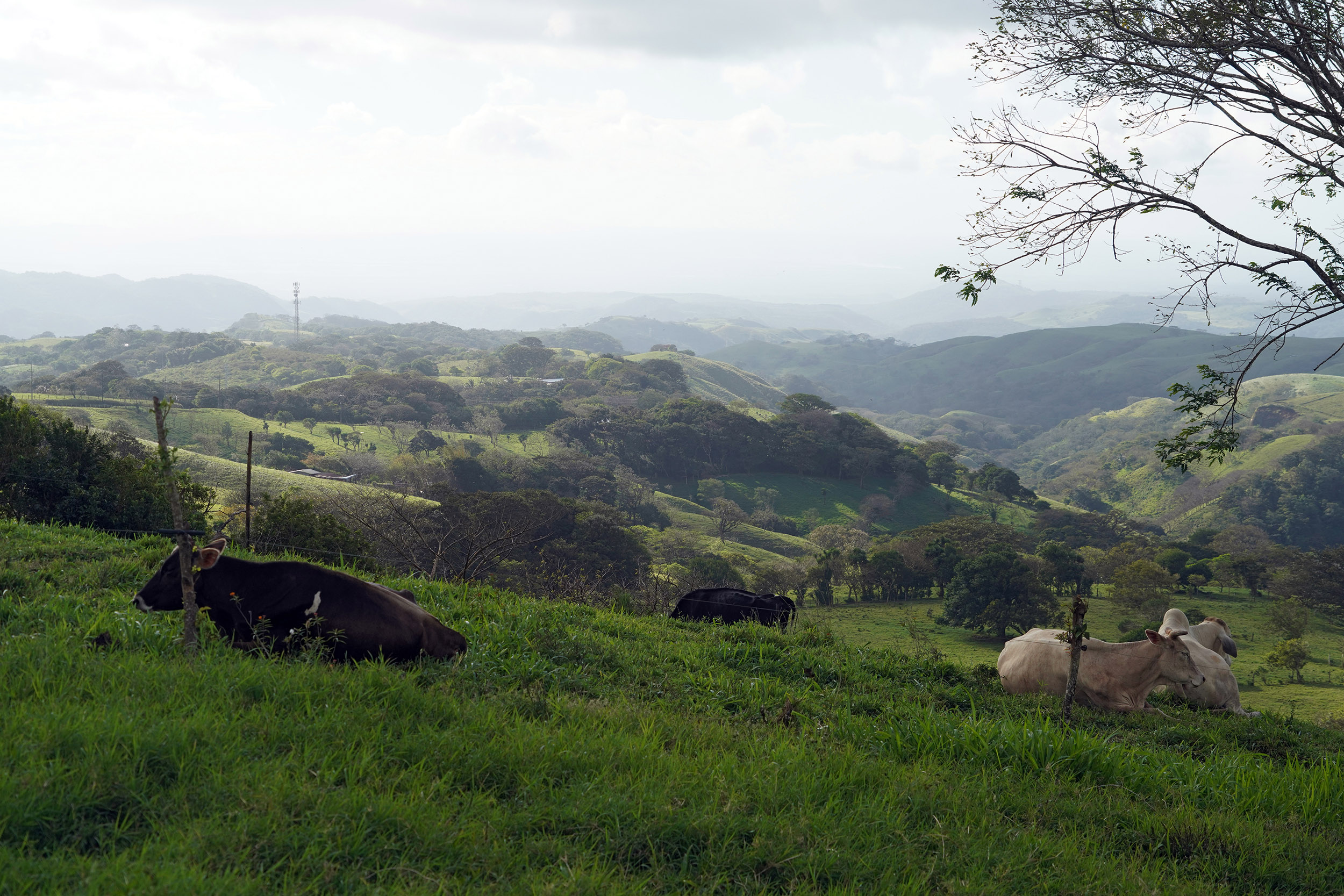 Costa Rica - Février 2025